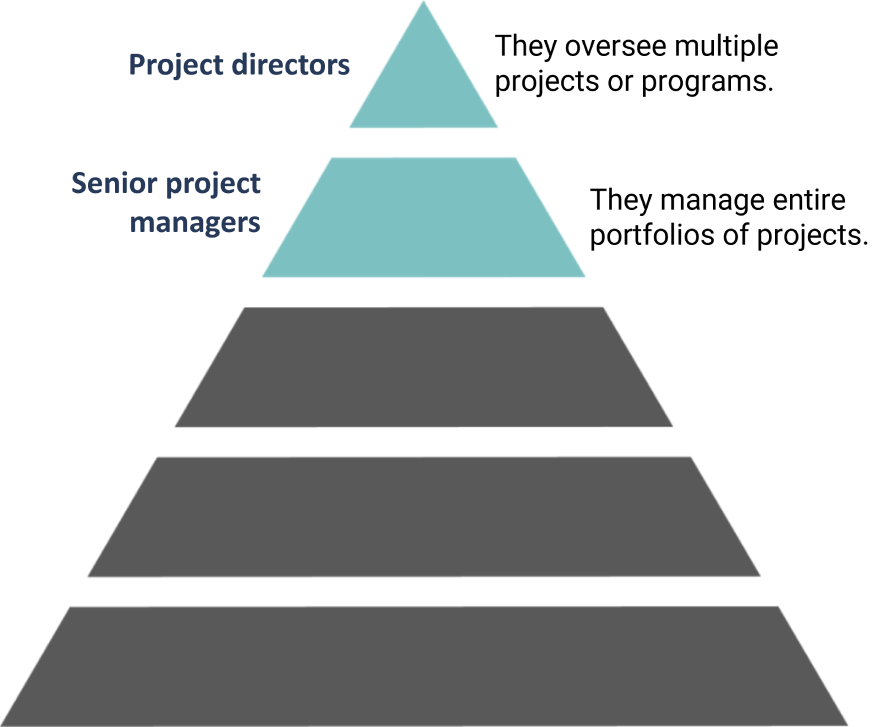 Pyramid showing senior roles on top: Directors oversee projects, Senior Managers handle project portfolios.