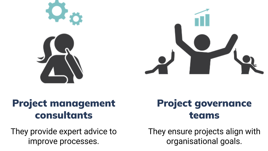 Illustration of specialised project management roles: Consultants with gears, Governance Teams with a chart.